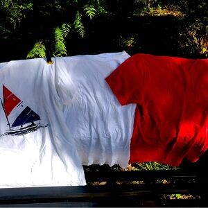 Bundle summer shirts for 14 yo children